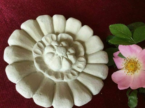 Rosace stucco stuckrosette - rosace, en