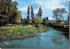 CPM - VESOUL - La Passerelle Meillier sur le Durgeon et le jardin Anglais