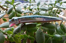 6 x Wobbler Suède Popper Pop