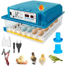 Couveuse Oeuf Automatique
