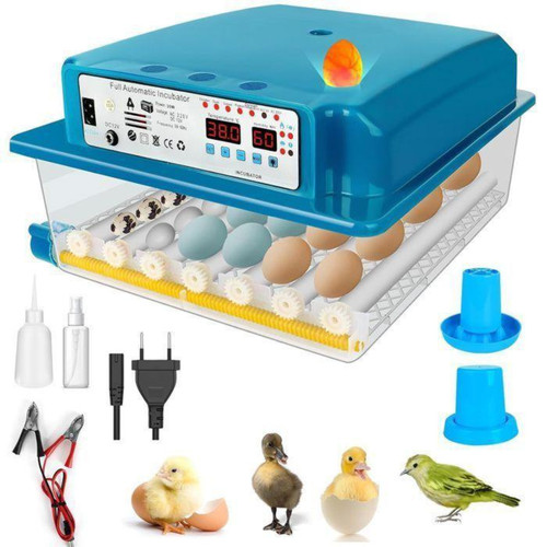 Couveuse oeuf automatique - couveuse,