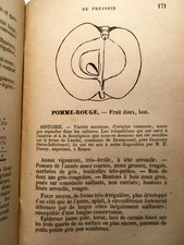 1880 LE CIDRE POMMES POIRES ETUDE DES FRUITS BOISSONS ALCOOL LIVRE ILLUSTRE RARE