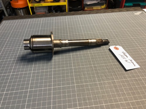 Vespa acma arbre de - arbre,
