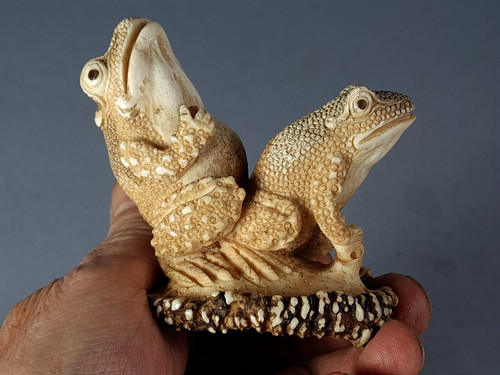 Couple batraciens - de,