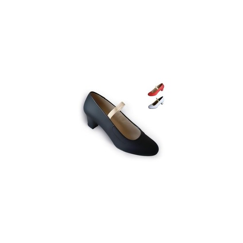 Flamenco shoe - flamenco,