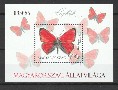 Hungary 2011 moth butterfly - 2011,