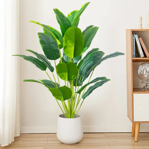 Pièce plantes - 1, de