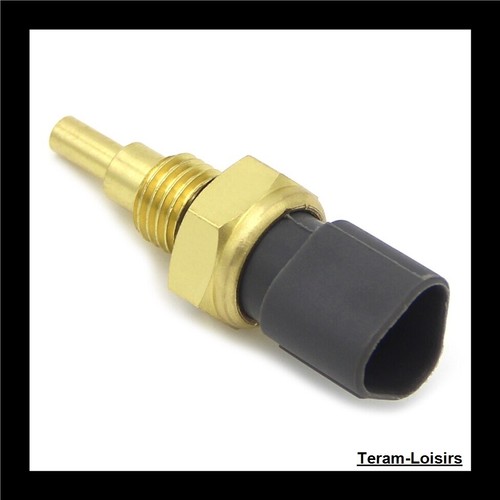 Sonde température thermostat - température,