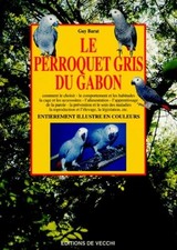 Le perroquet gris du Gabon -