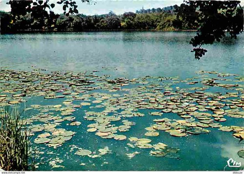 Carte postale seignosse - -,