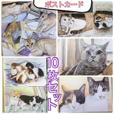 British Shorthair & Calico Cat Hand-painted Cat Postcards Set of 10 New wwc