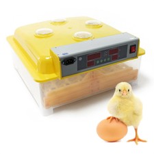 Couveuse automatique 48 oeufs