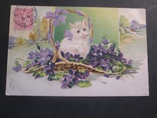 Fancy postcard cat in a basket of violets