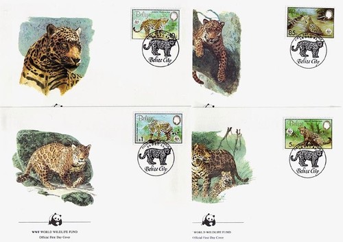 Wwf protection des espèces - wwf,