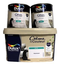 Lot Peinture DULUX VALENTINE