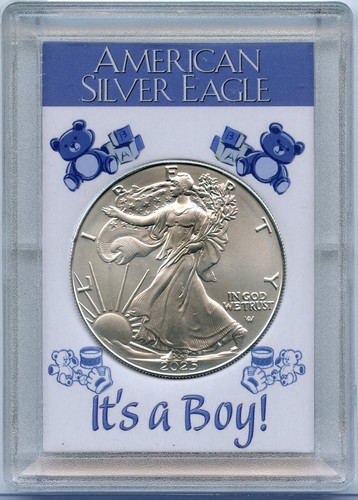 2025 american silver - eagle, 1