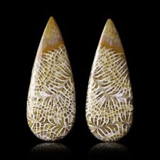 ★☆ Indonesian 24.00CT FOSSIL CORAL - 30.5mm - GEM-BC1273 ☆★