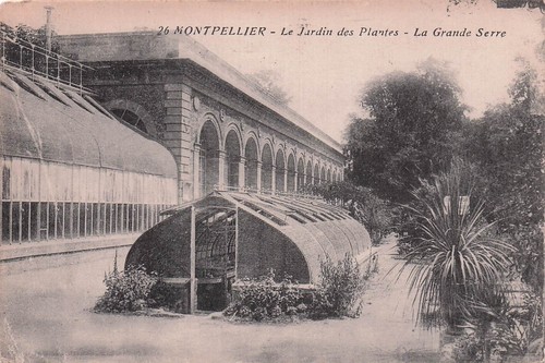 Montpellier jardin des - 34,
