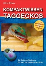 Kompaktwissen Taggeckos: Die