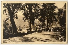 2A CPSM Carte postale Porto