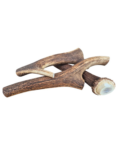 Bois cerfs xxxl entier - cerfs,