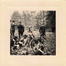 OLD PHOTOGRAPH 1954 HUNTING SCENE RUNNING HUNTERS & THEIR DOGS