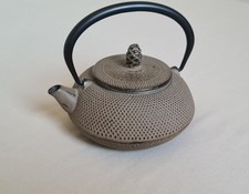 Bouilloire Japone à thé, en