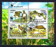 Animaux Oiseaux Rapaces WWF