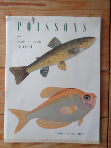 Poissons marc eliezer - marc-eliezer, bloch