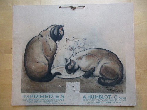 Panneau les chats - chats, de