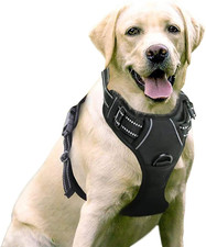 Harnais chien anti - harnais, traction