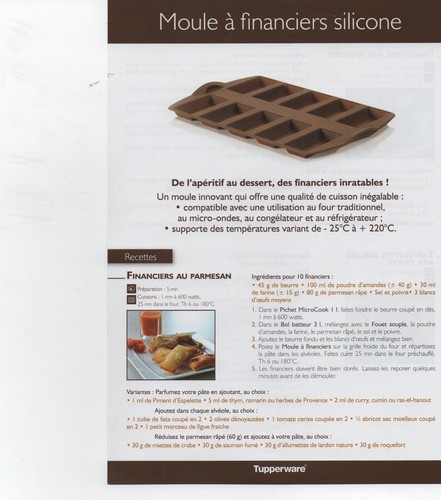 Moule financier - 1,