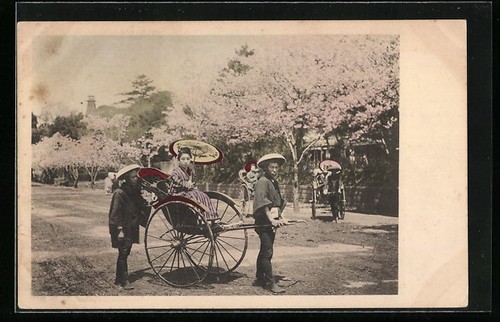 Carte postale geisha tirée - geisha,