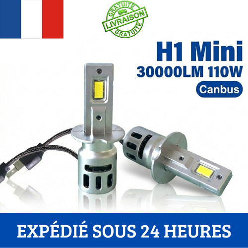 Ampoules led mini 1 - 2x,