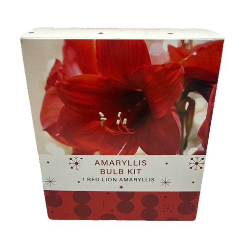 Indoor amaryllis bulb kit - -, 1