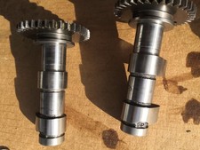 Ktm 950 adventure (arbres à