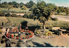 Carte Postale - 61 - La Roche