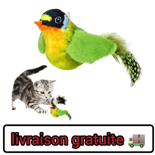 Jouet interactif pour - , chat