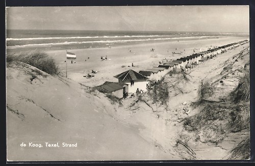Texel koog plage - texel-de, plage,