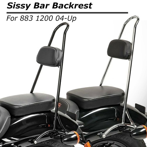 Detachable passenger sissy bar - detachable,