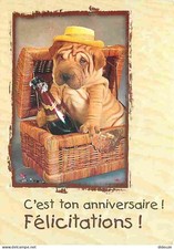 Animaux - Chiens - Sharpei - CPM - Voir Scans Recto-Verso