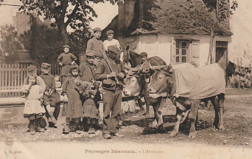 Paysages béarnais - paysages,