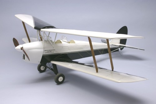 Tiger moth dumas s1251810 - tiger,