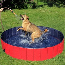 Piscine Pliable pour Chien en
