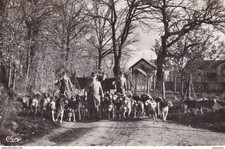 S25361 cpsm 18 Vouzeron -