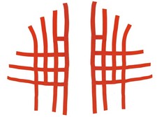 Nerf Bar Réseau Pour KTM