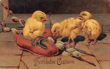 Poussins dans la chaussure