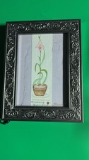 Framed Orchid Paphiopedilum Drawing Signed Botanical Art 8x6” Ornate Frame