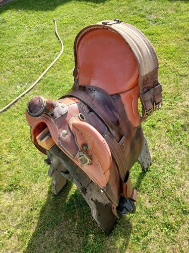 Selle cuir équidé - cuir,