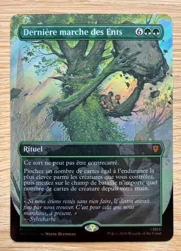 Carte magic hobbit - magic,